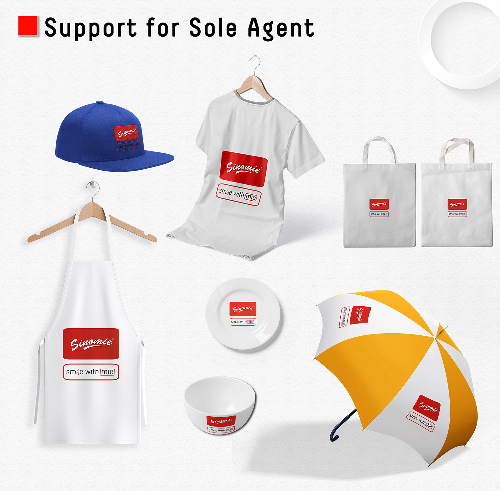 Support-for-Sole-Agent Support-for-Sole-Agent
