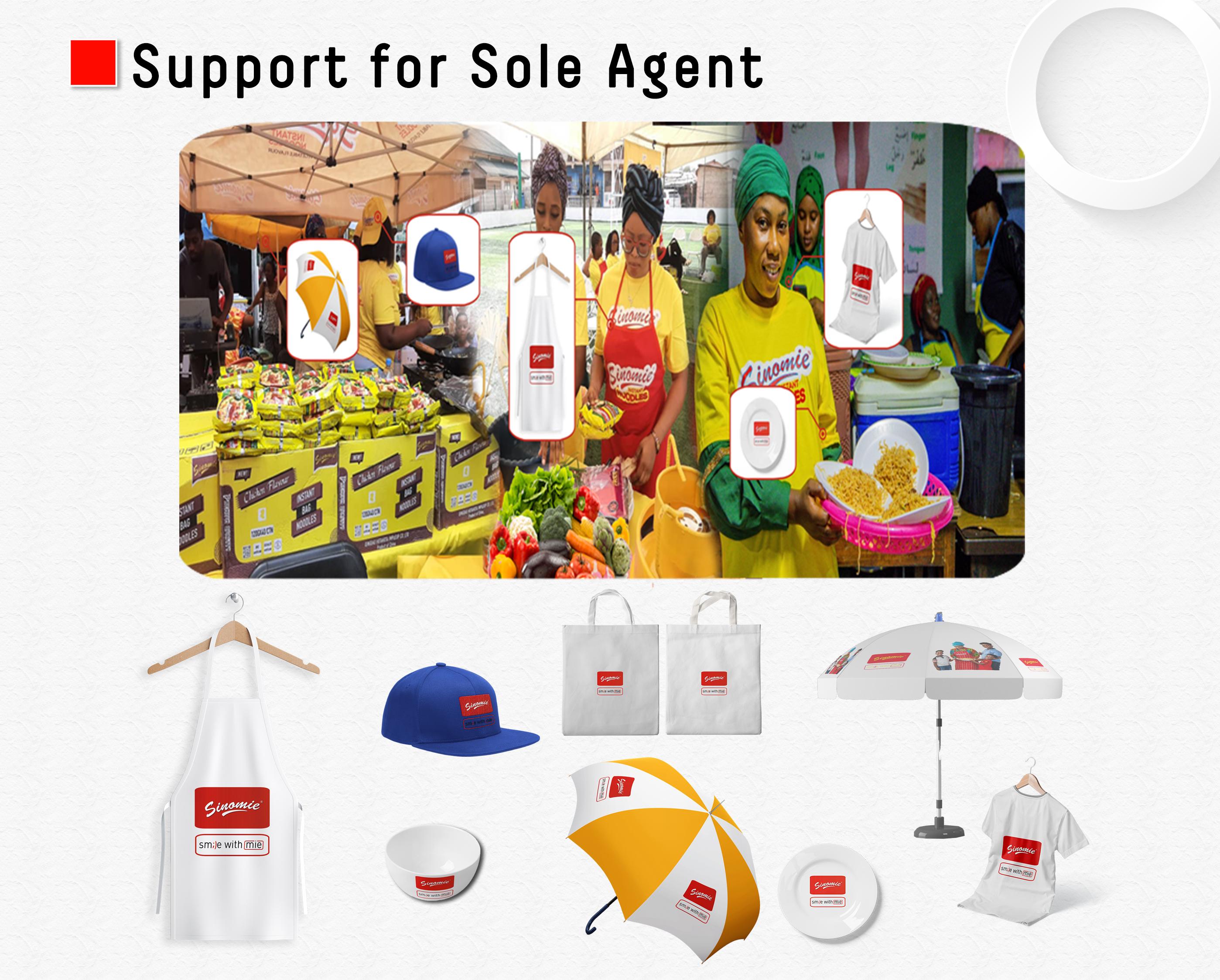 Support for Sole Agent